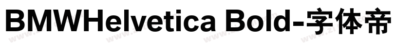 BMWHelvetica Bold字体转换